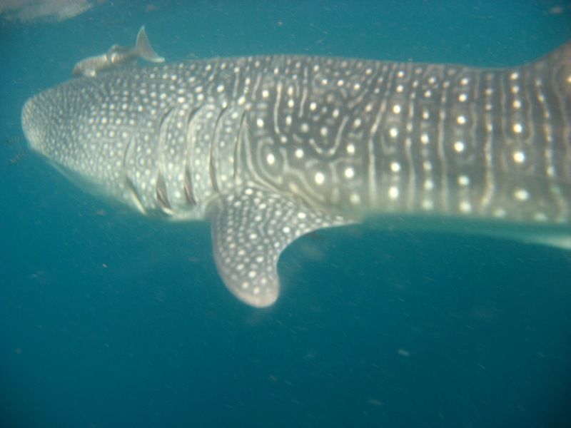 e66db617-bbb1-4c97-8585-0703fa849a71