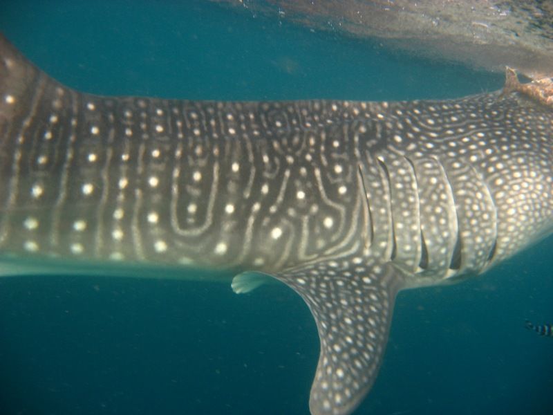 e66db617-bbb1-4c97-8585-0703fa849a71