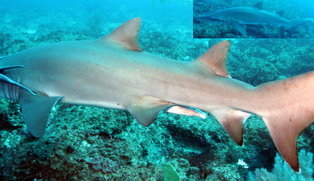 ebcce368-b530-4d50-8201-55705676c5f2