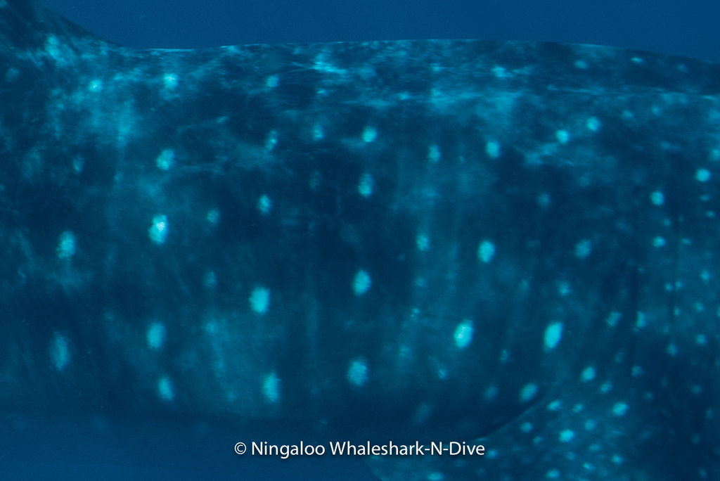 7111a3db-c0f0-46c5-94d8-0cd1a720823f