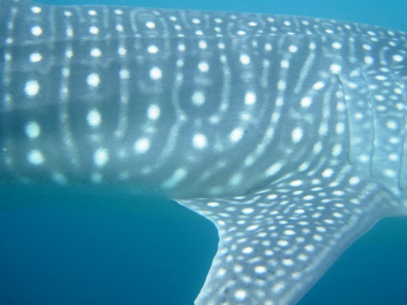 6bf69d31-82fb-484d-b5c9-6b45c6b61988