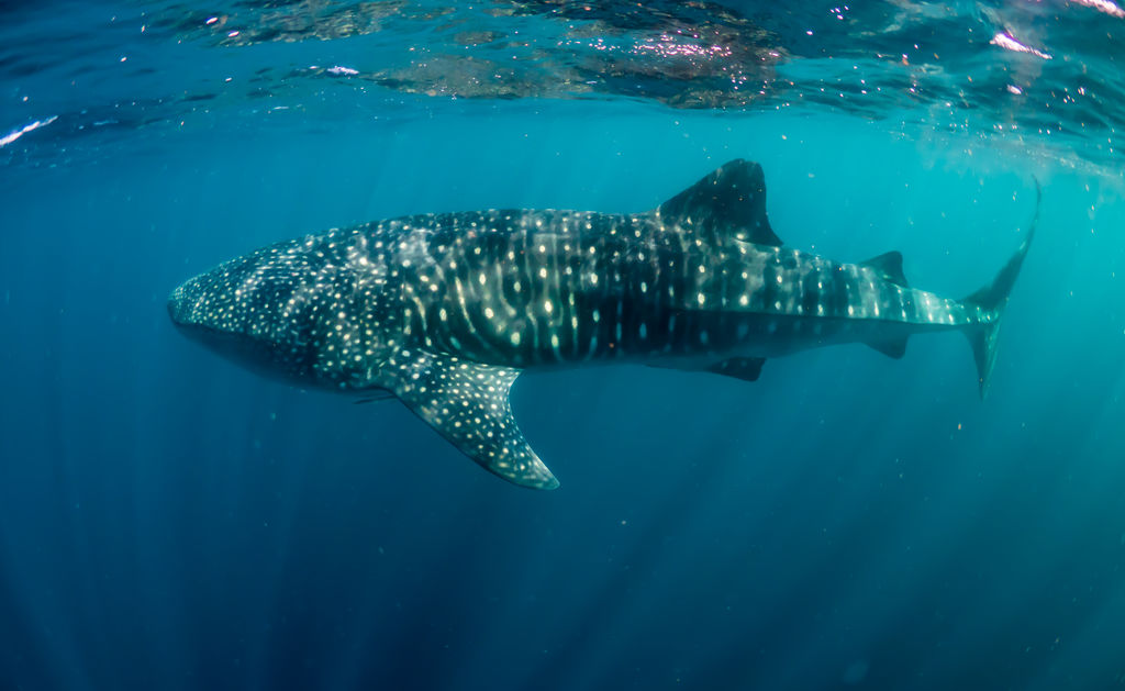 abb98030-d846-4d8a-81a3-fae3b6c7088a