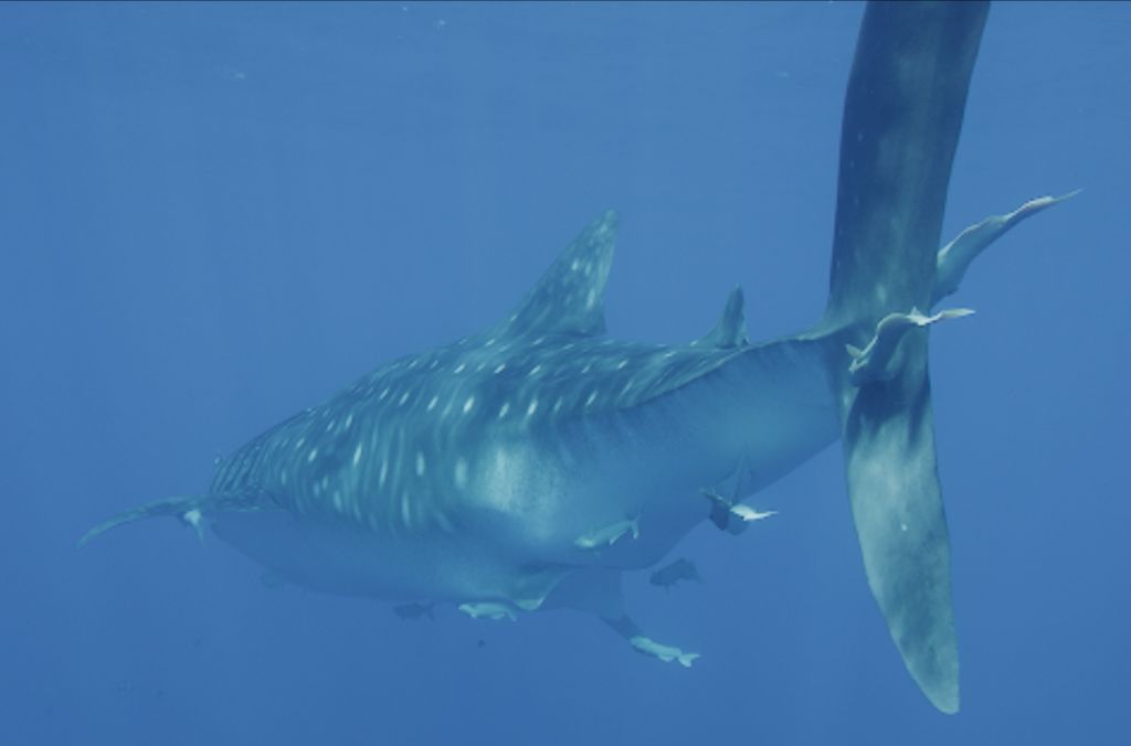 fba32f8b-e60f-4db1-a15b-3a0359045816