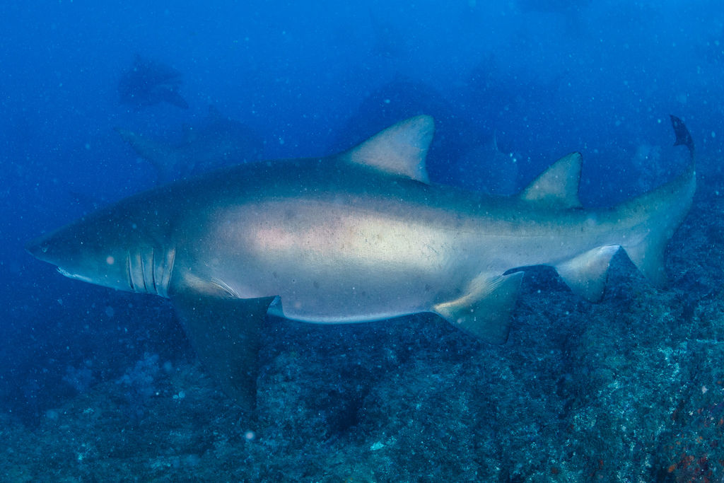 f086a46f-a2d6-4cf1-824e-600cde611e57