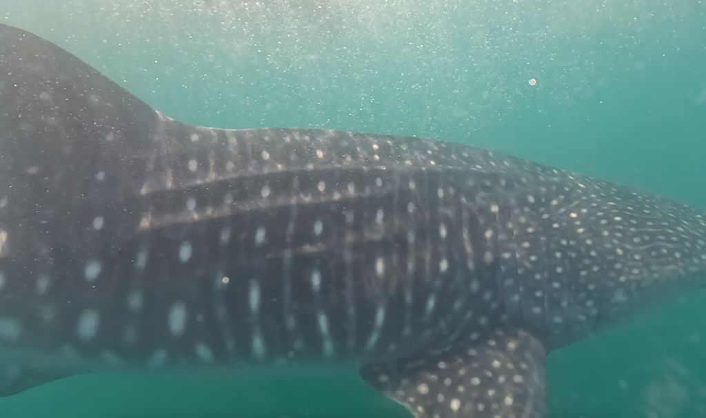 a7685401-d1da-4494-bb4f-e15537596925