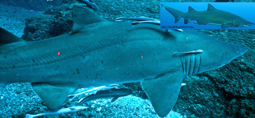 277e8569-c4fc-44e3-b0cd-1d1405156127