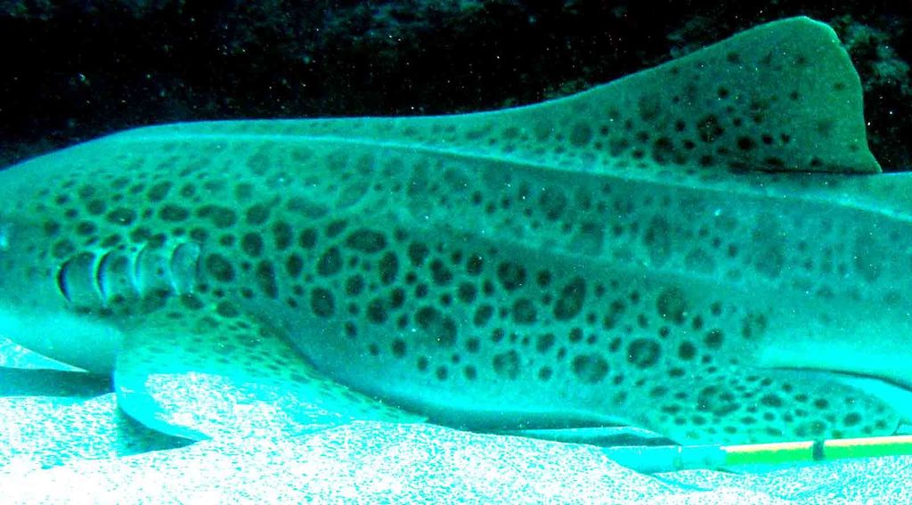 946365b9-6ac3-4f9e-b8c1-9966b3416ddc