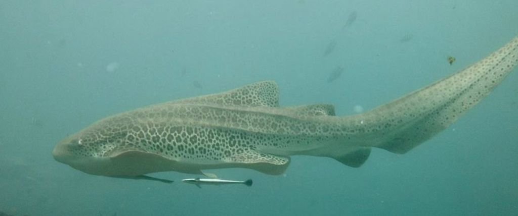 5500727a-ada7-465c-bc05-ab50284d1f71