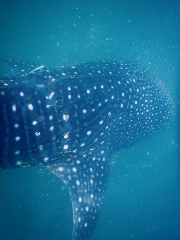 ee75fa40-b4fc-4947-8e72-4f06c371f837