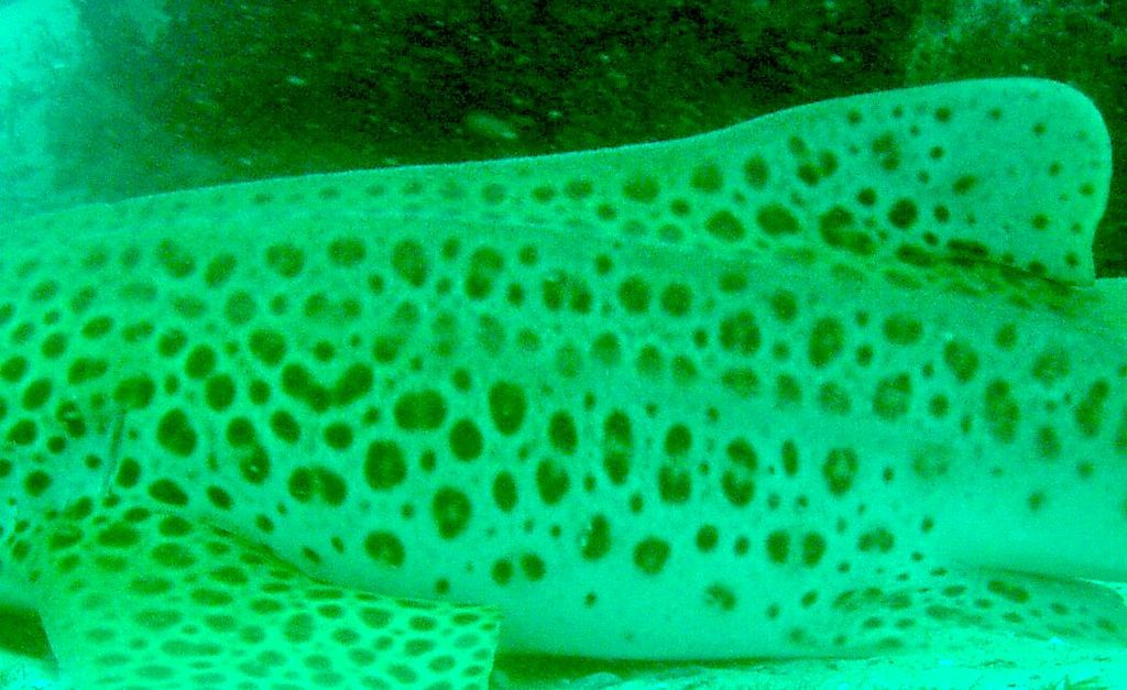 d4c6e4dd-2452-421c-9424-46fc9de4a1a7