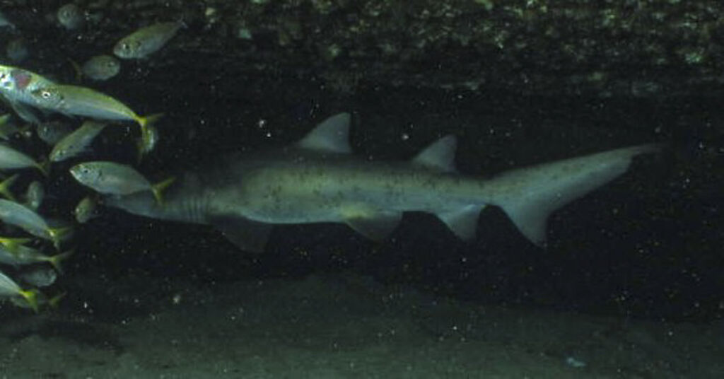 08249fad-c538-464e-ae1b-84a40bf5663f