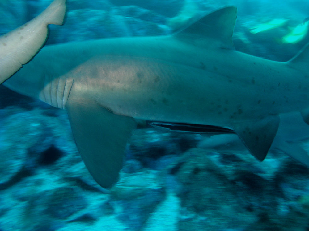 a6b1b268-e772-4b2e-be05-4cdb51721c2e