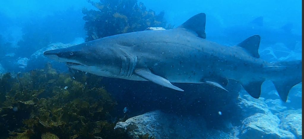 0dc06a6a-50b3-4e70-b7d3-15c5b3c37d59