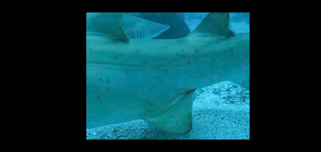 f868830d-b206-4372-bf16-4df19c5c4412