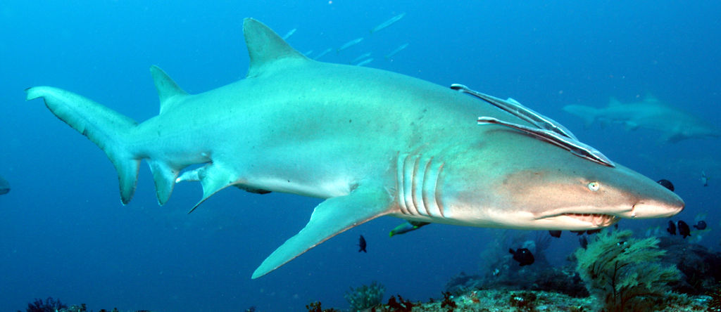 ebcce368-b530-4d50-8201-55705676c5f2