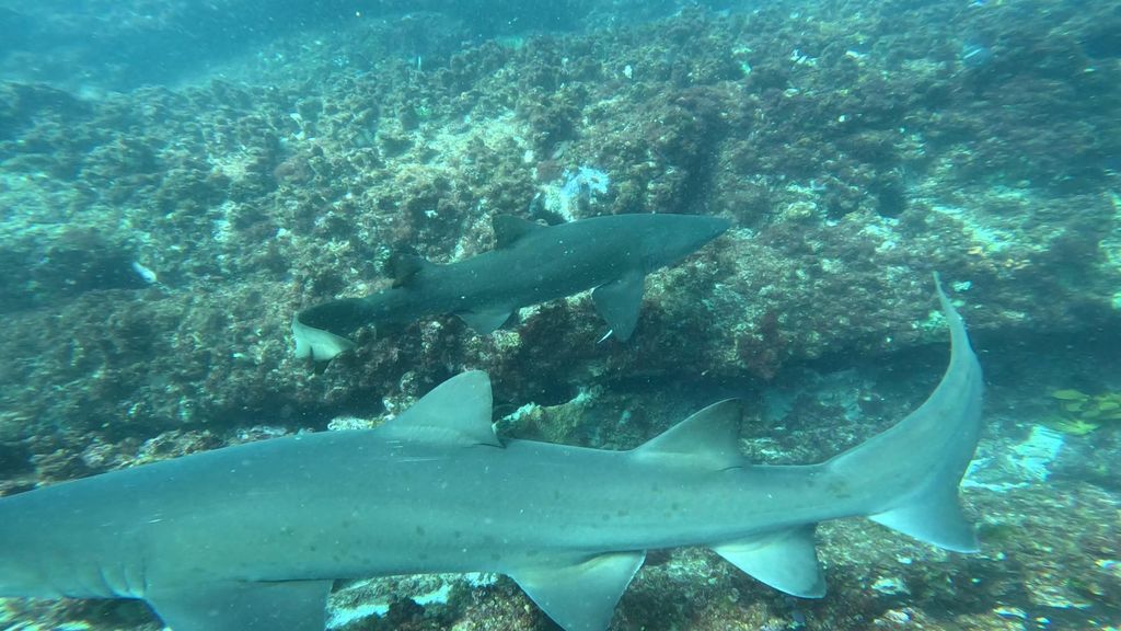 6f1c8c46-f5d7-4f4d-806f-c7bb89feb3bf