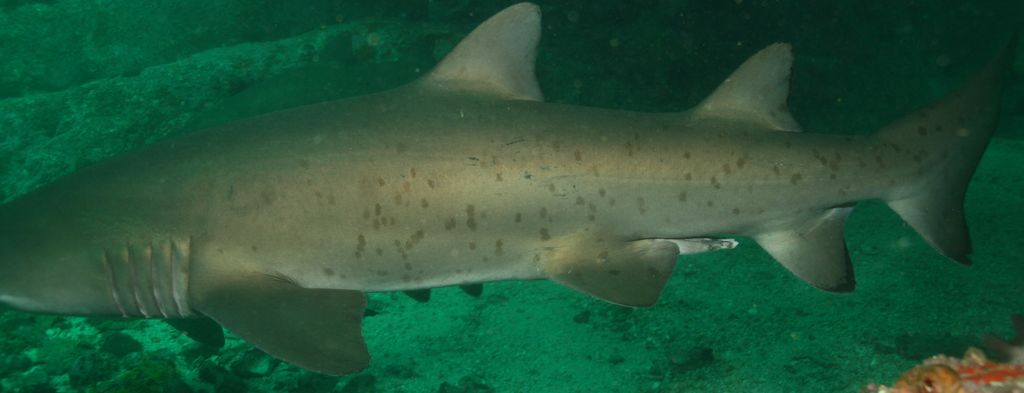 f3aed7fc-9d07-4400-9e26-3acbedce09bc