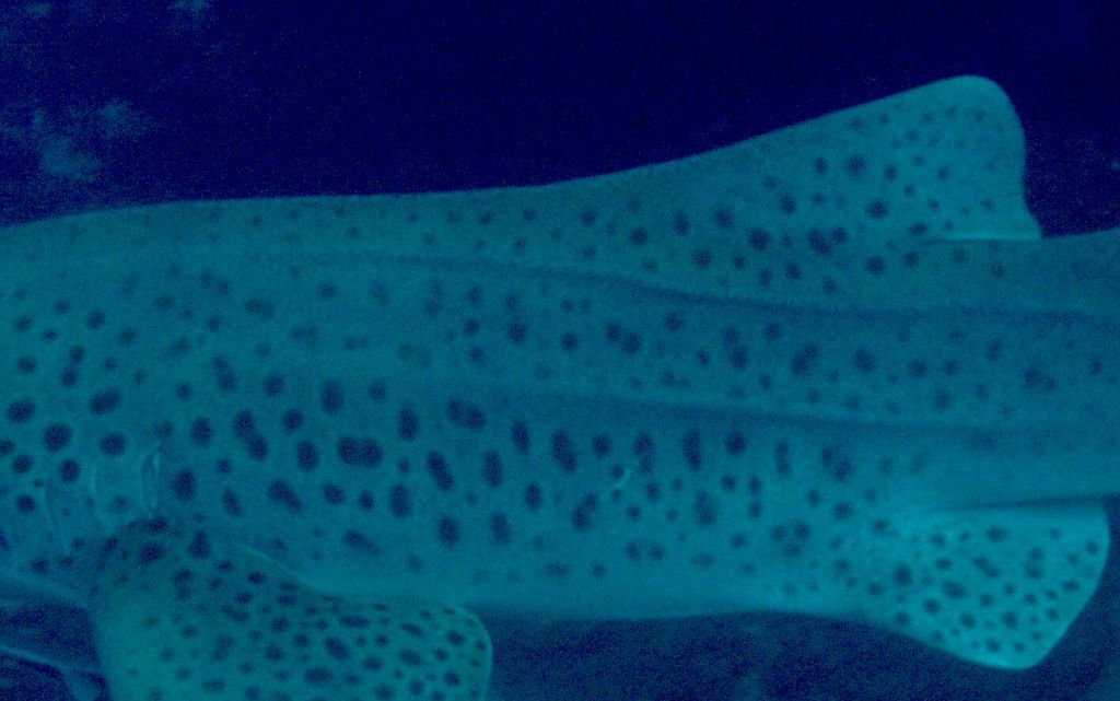 2fdb7af3-5c92-4a09-b1cc-519a1ae3236c