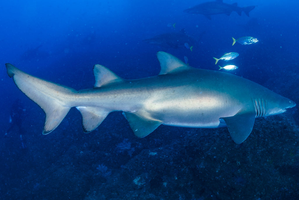 f7f04bb8-f635-4b22-b124-7df19654ddd7