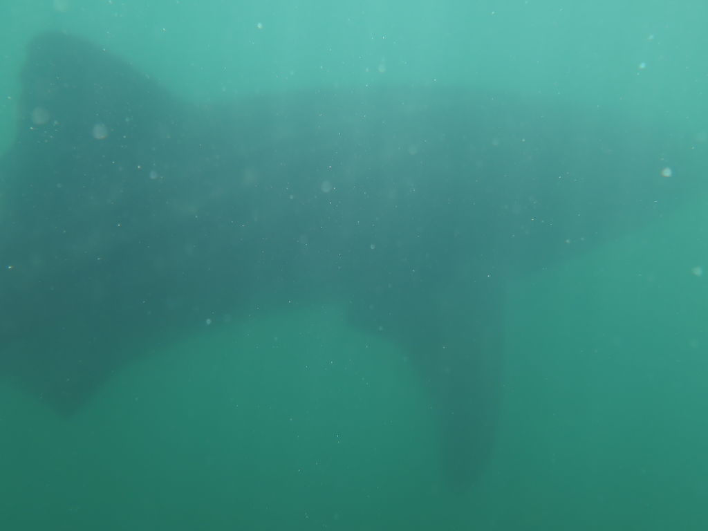 ceb830d8-7417-478f-94ca-8d5579b525be