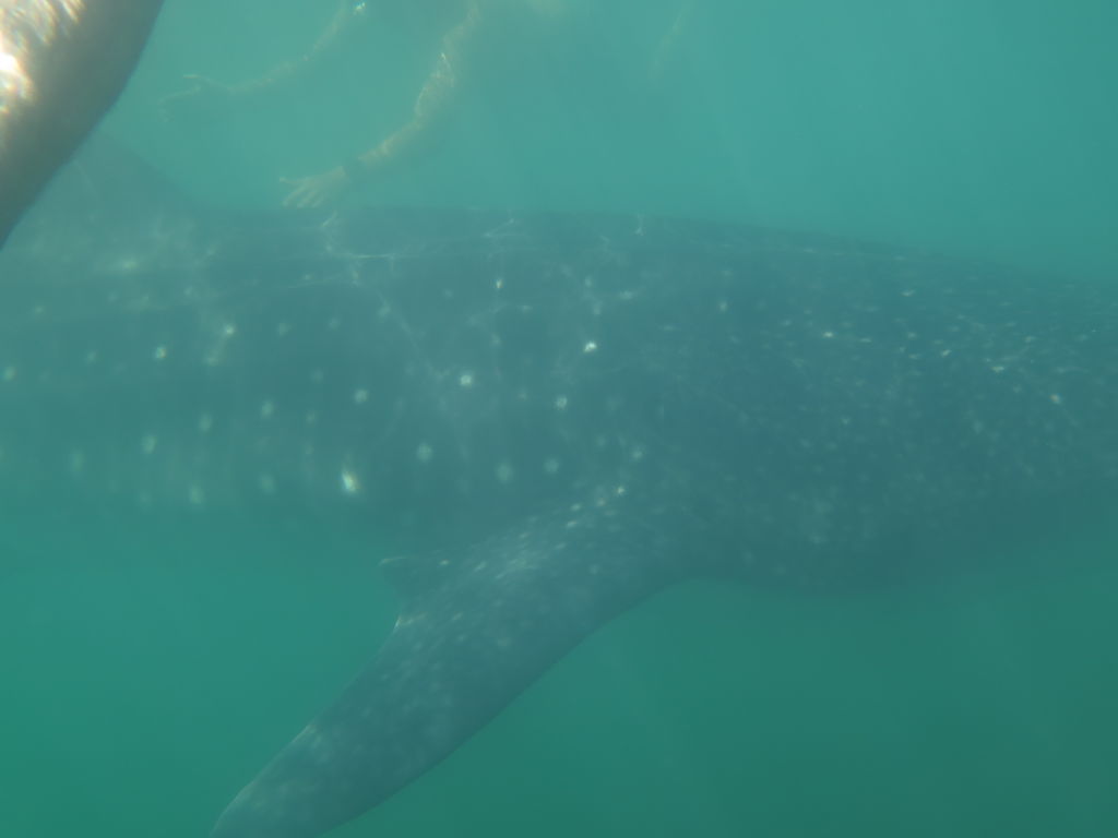 ceb830d8-7417-478f-94ca-8d5579b525be