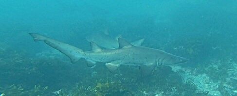 8735e625-44d3-4ce2-9b5b-2e93627f4c48