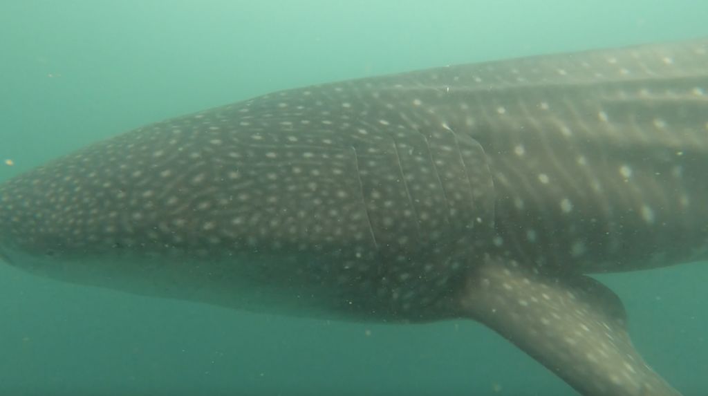 488a3d24-1772-4a70-af3d-1daeace6f1d0