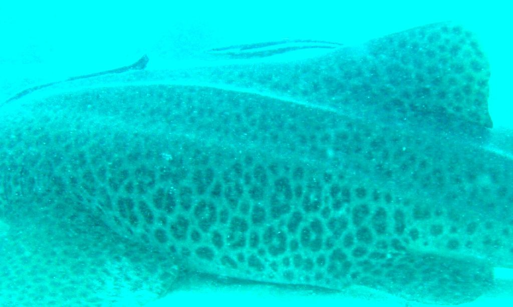 f37e534d-8b91-4038-80ff-dfbb03424e14