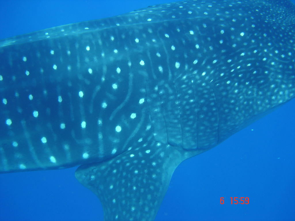 84ef61c8-7665-467c-a1e4-55b95de7dca8