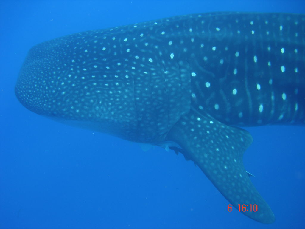 84ef61c8-7665-467c-a1e4-55b95de7dca8