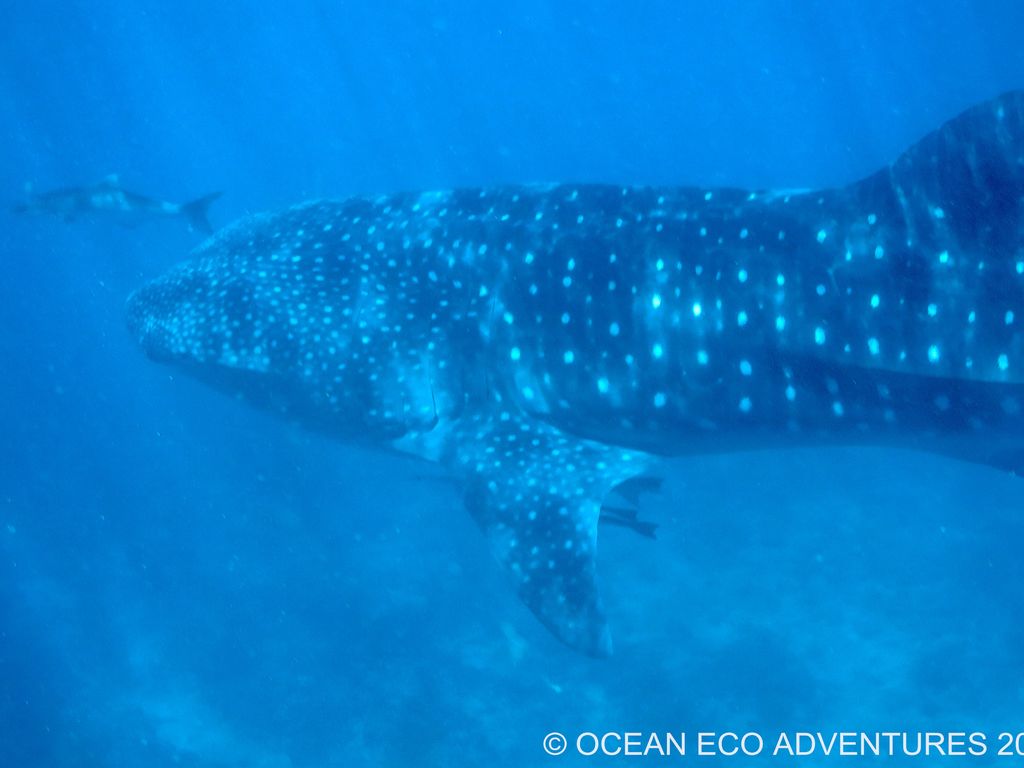 59aa8f5e-afff-43f1-aa66-b060678d7b2f