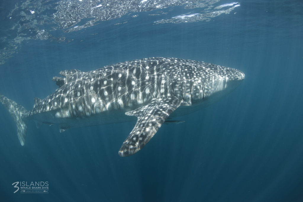 5b80691a-f7cd-4f9b-96ae-1c6b10b7f63f