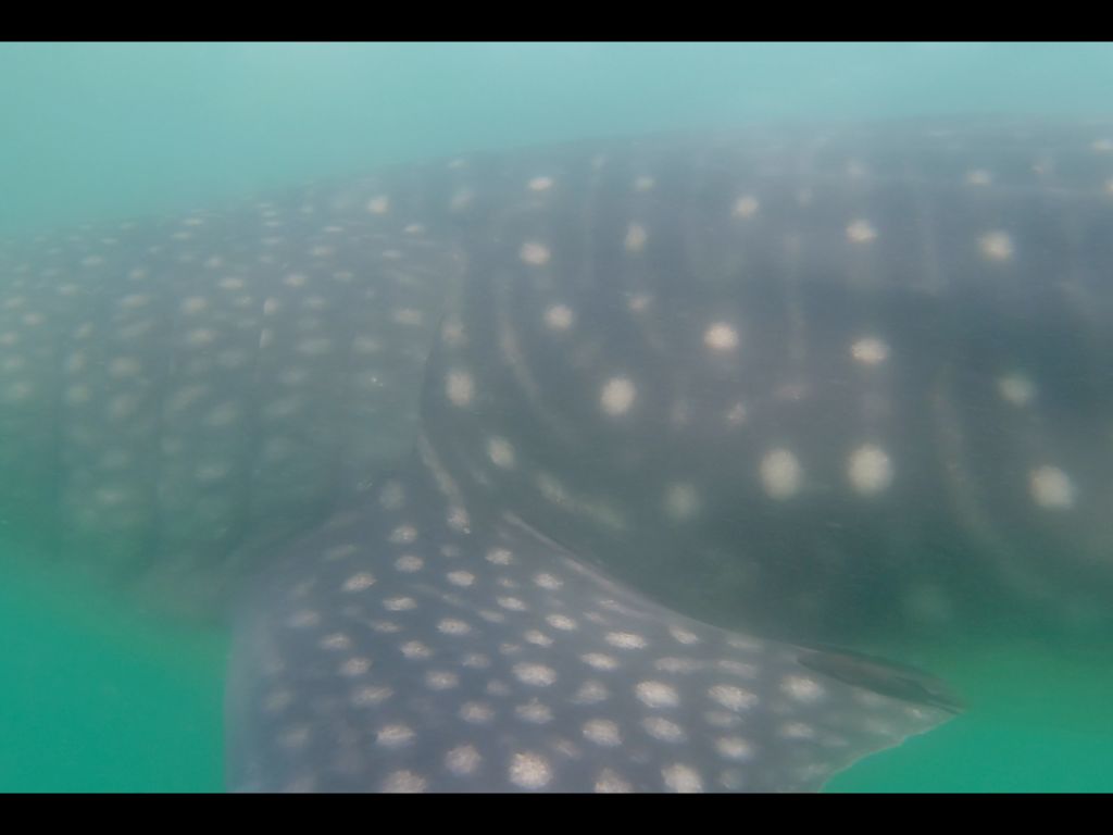 fe3292a5-feb5-4bac-8bdf-6958ce0edc5f