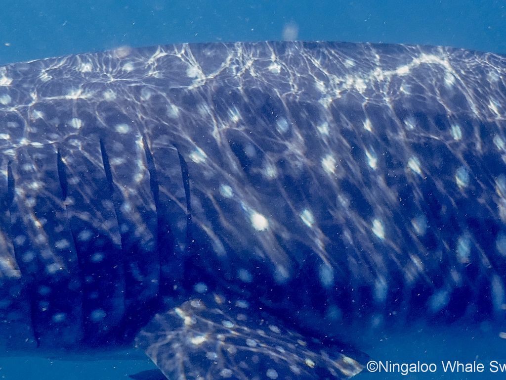 f2db9f0a-955f-4a66-b16c-d4e1af766537