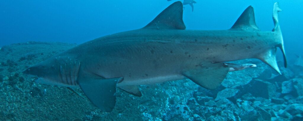 07c8ad79-04fe-4064-ac9c-b26aa5f380ce