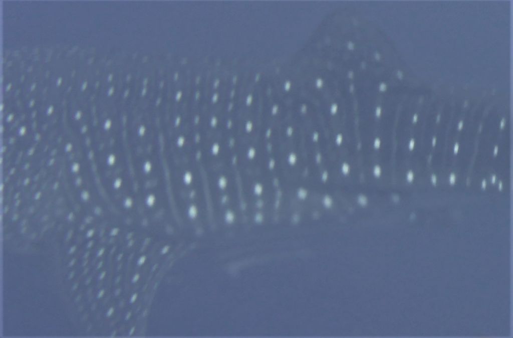 9512e390-5e95-462d-a4ad-8f8b32db8716