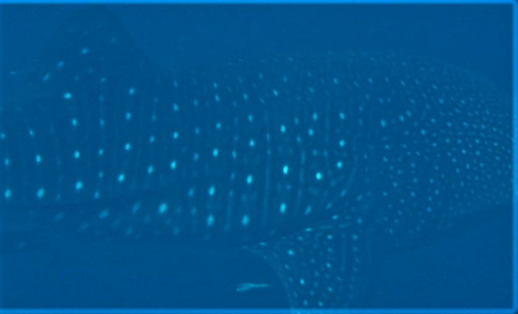 9512e390-5e95-462d-a4ad-8f8b32db8716