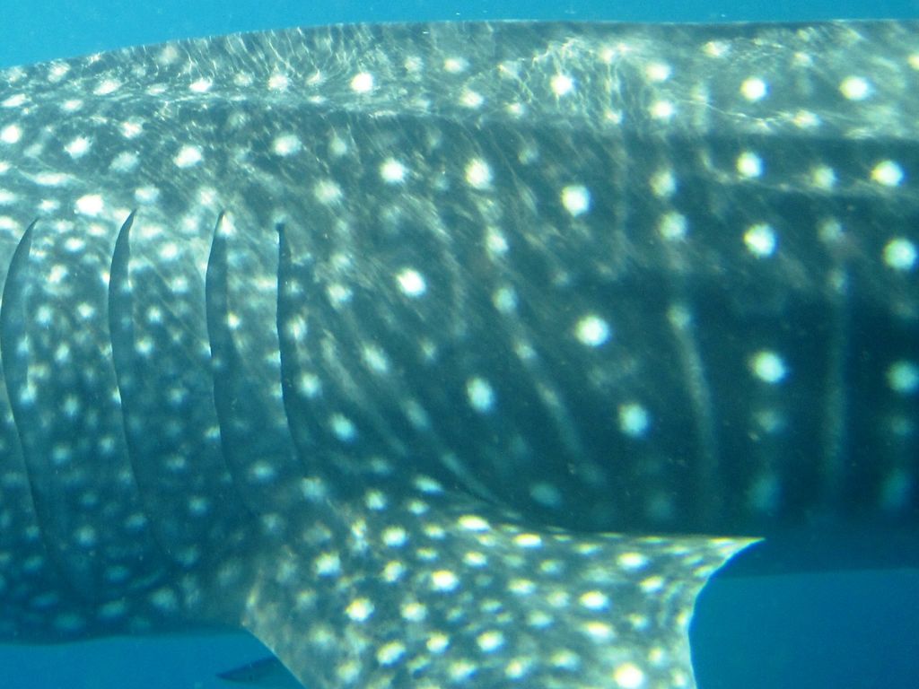 78fd82ac-9323-475e-bd8c-2ff3b8357dcc