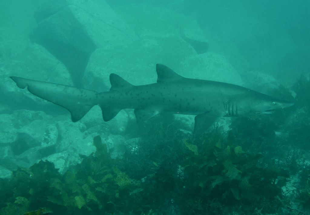 a5b66da6-f097-4a63-9975-9056cd1b1ff8