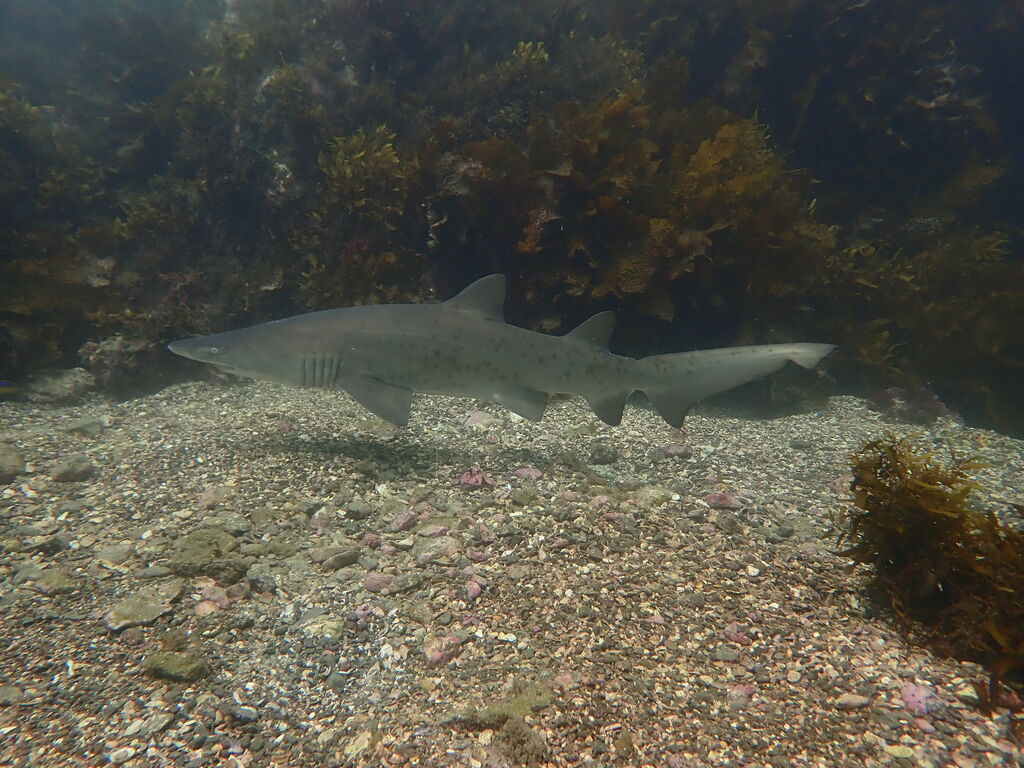 95cdf0b8-cafd-4834-9d0d-7794c0974f48