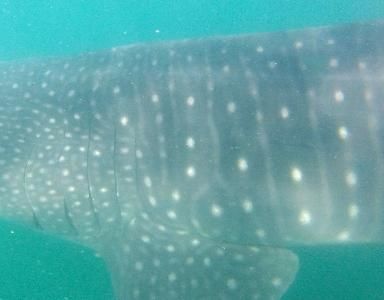 877c1154-30d1-4ce0-82fa-a02b6af2168a