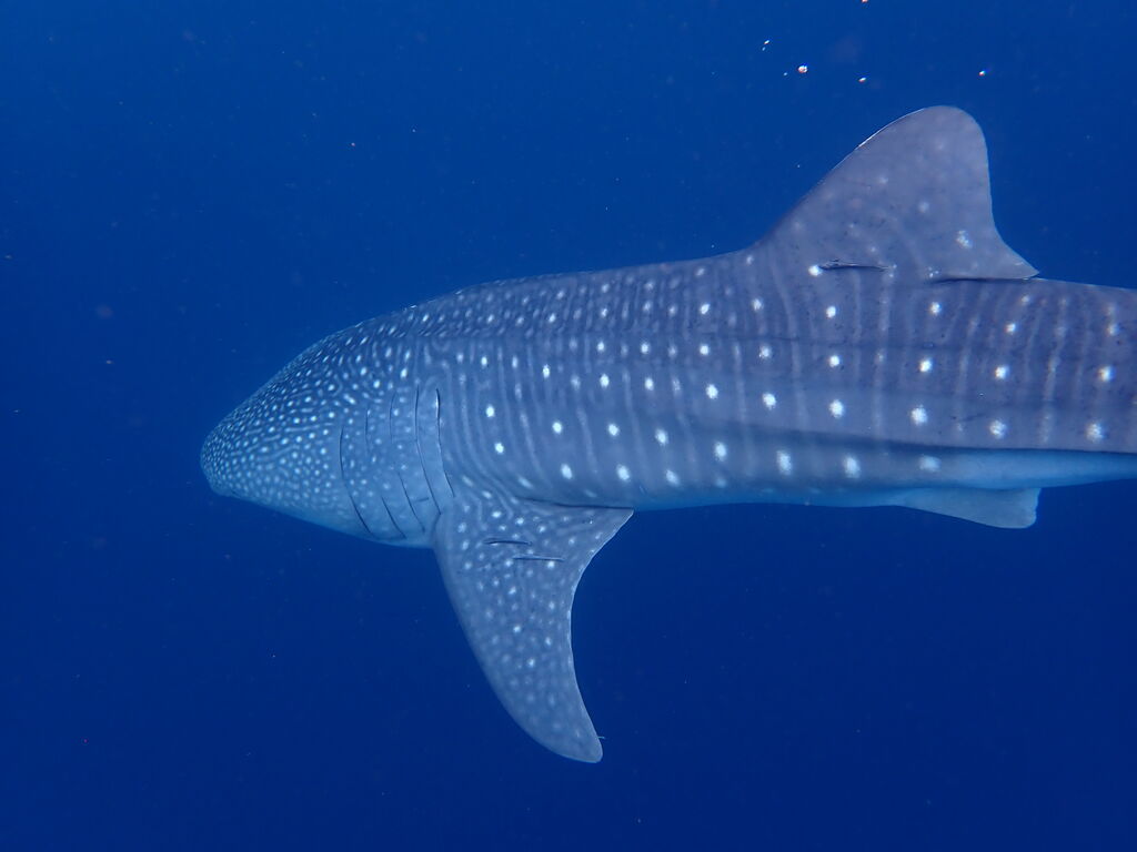 32e12975-03e2-411f-8213-9afa801ebbc9