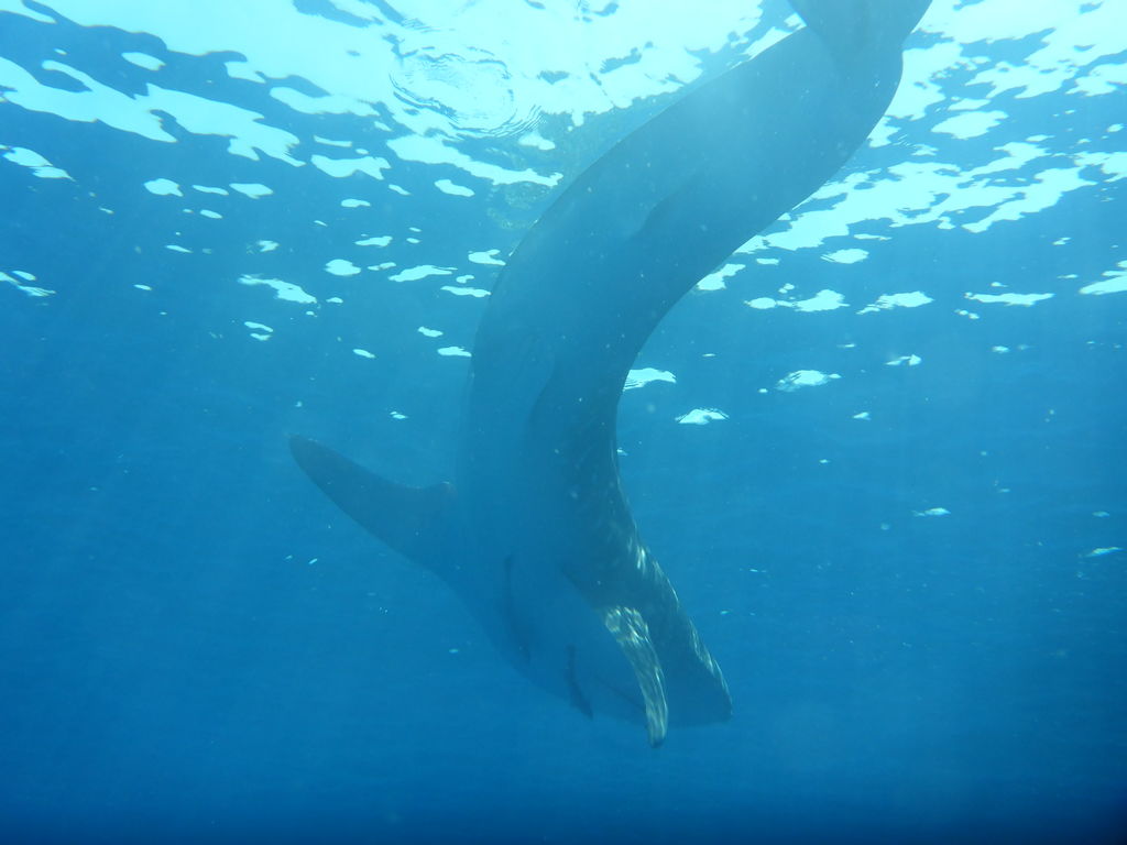 d702ae0b-4ad2-47ad-9e13-2872706b0bbc