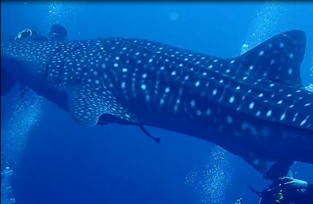 d7624bfa-b8f8-4879-ac92-4743b82d7f0a