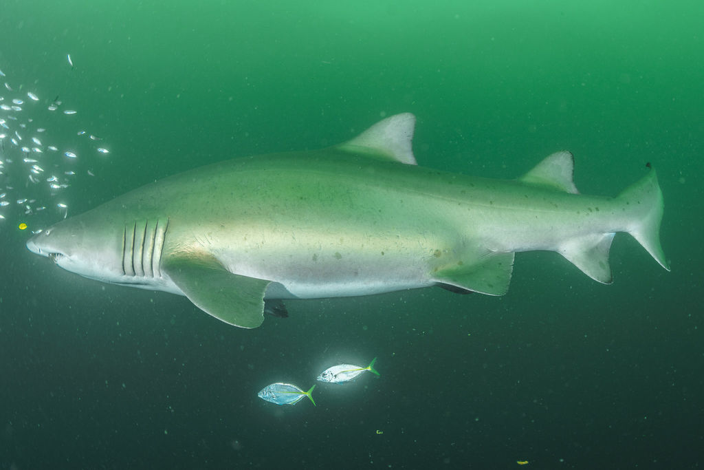 5480b831-6213-4e09-a63c-3443f8ff8329