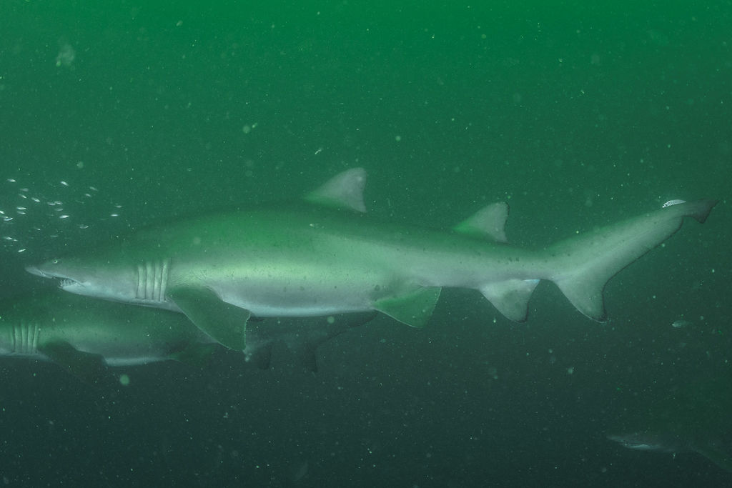 5480b831-6213-4e09-a63c-3443f8ff8329