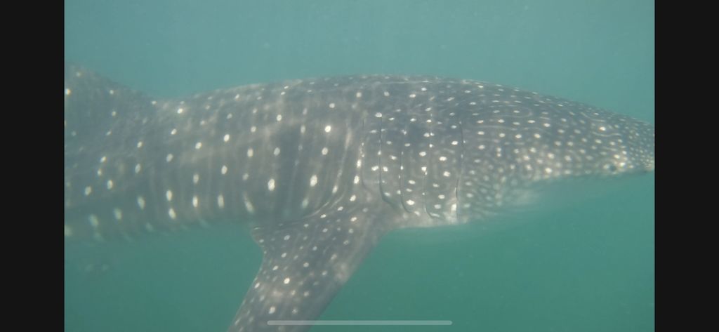 66ec7576-e3da-4fef-8f47-f8cf9d327d52