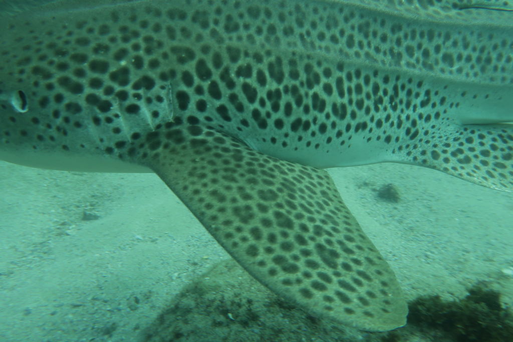 4e07de80-6721-46de-b22c-87907b6969e3