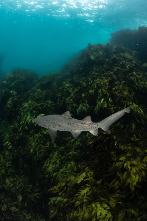 f777d9bf-d076-431a-9f14-35ec17162ea4