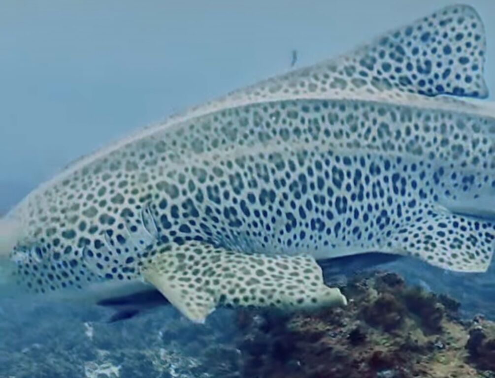 5f671b13-a70b-4db4-8c5b-28067aa541a8